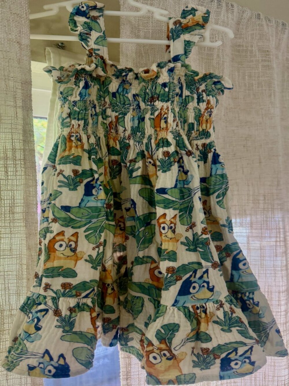 Bluey & Bingo 2T Toddler Dress